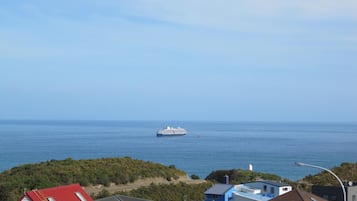 Ropa de cama de alta calidad y escritorio