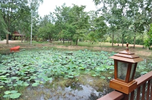 Uitzicht vanuit accommodatie