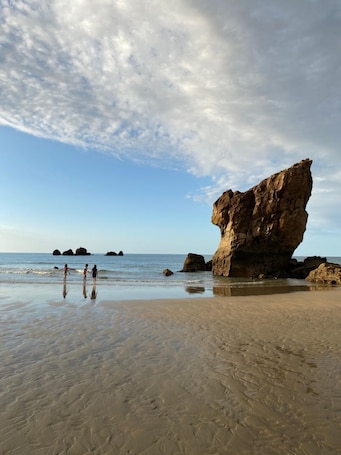 Beach. Hotel Playa de Aguilar