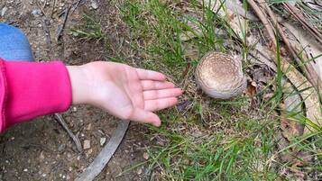 Una mano se extiende hacia un hongo que crece entre hierba y hojas en el suelo.