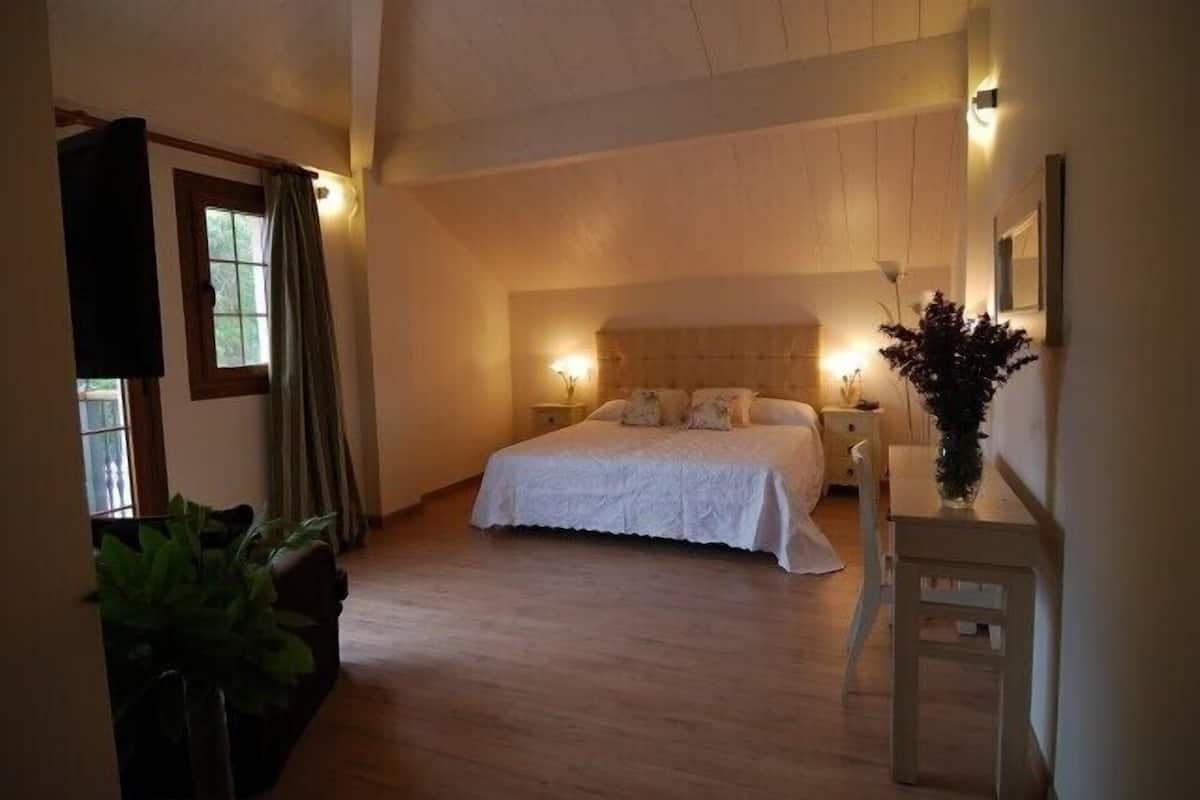 A bedroom with a large bed, bedside tables, a nightstand, a potted plant, and a window with curtains.