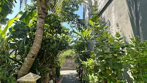 A narrow pathway flanked by lush greenery and a concrete wall. - Sari Buana Bed & Breakfast (Kuta)