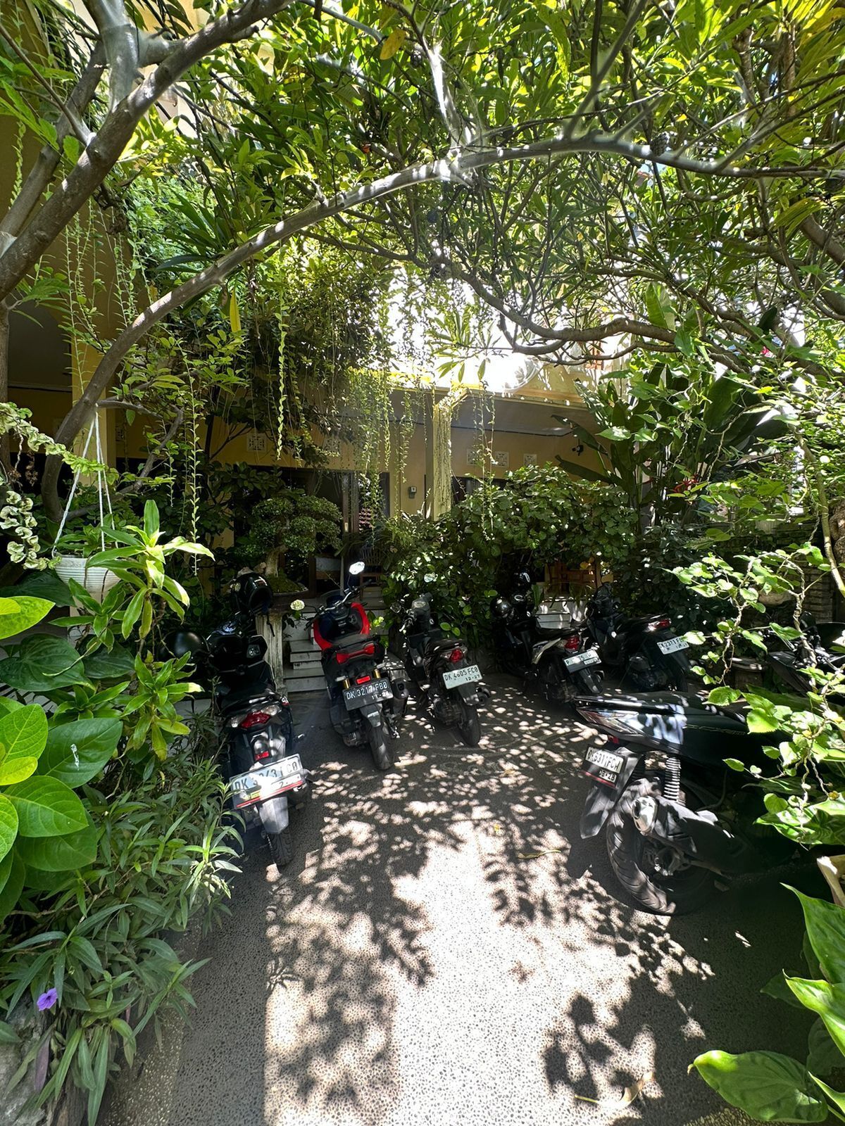 A courtyard with motorcycles parked along a paved path, surrounded by lush greenery and a yellow building in the background.