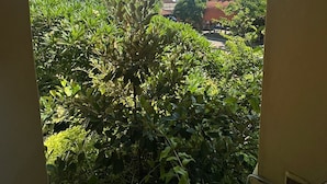 A view through an archway of a lush garden with dense foliage and a clear blue sky. - Sari Buana Bed & Breakfast (Kuta)