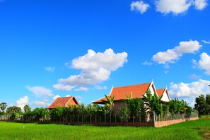 Quang cảnh nhìn từ nơi lưu trú