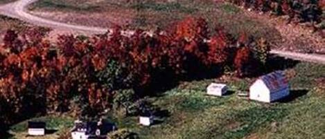 A rural area with several small houses with red roofs, a winding road, and autumn-colored trees.