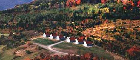 Eine Küstenlandschaft mit einer Reihe weißer Hütten an einem Hügel, umgeben von Herbstlaub.