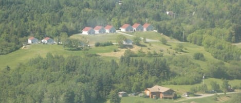A rural area with several houses on a hillside, surrounded by dense forest.