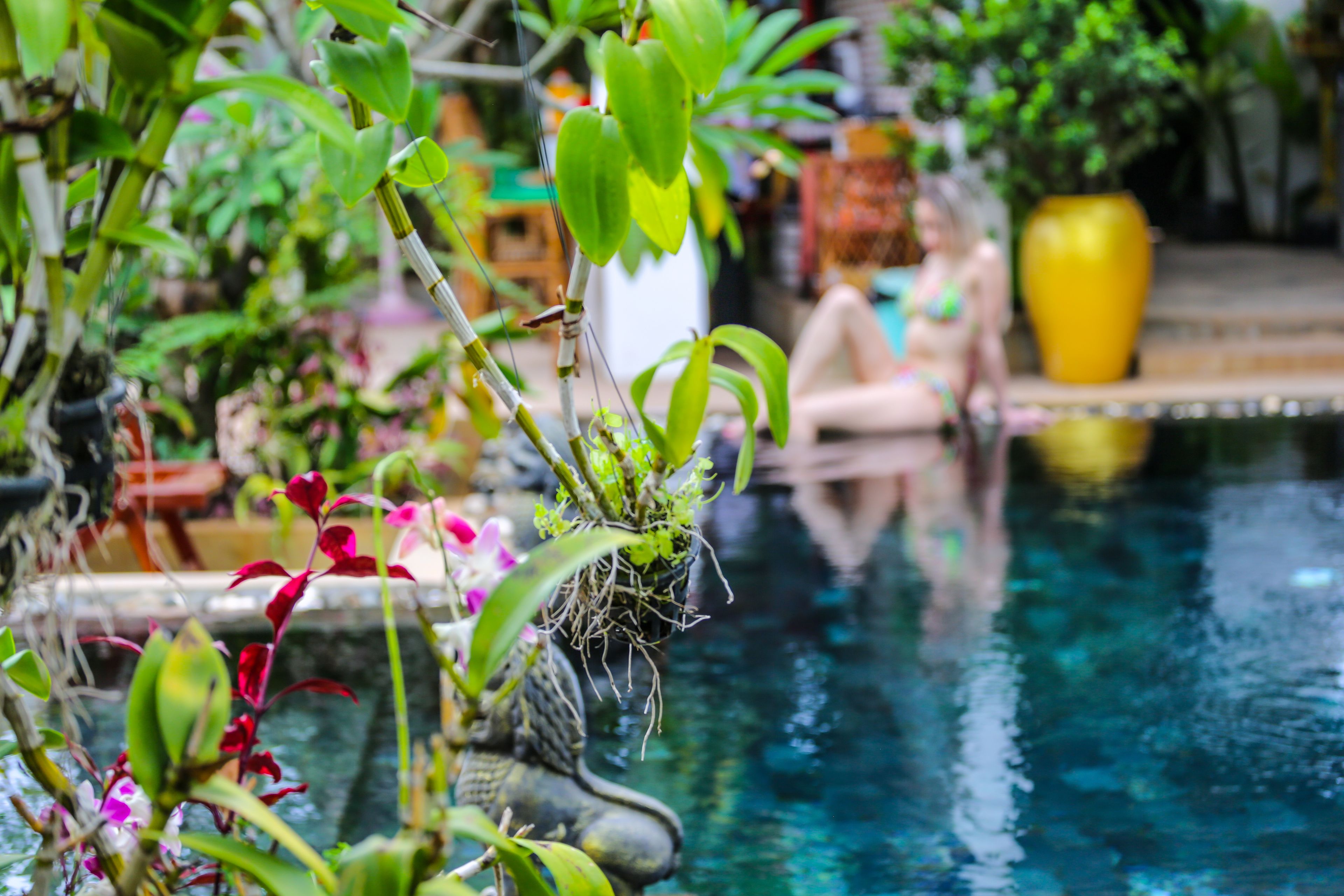 deluxe double room, balcony, pool view | garden view