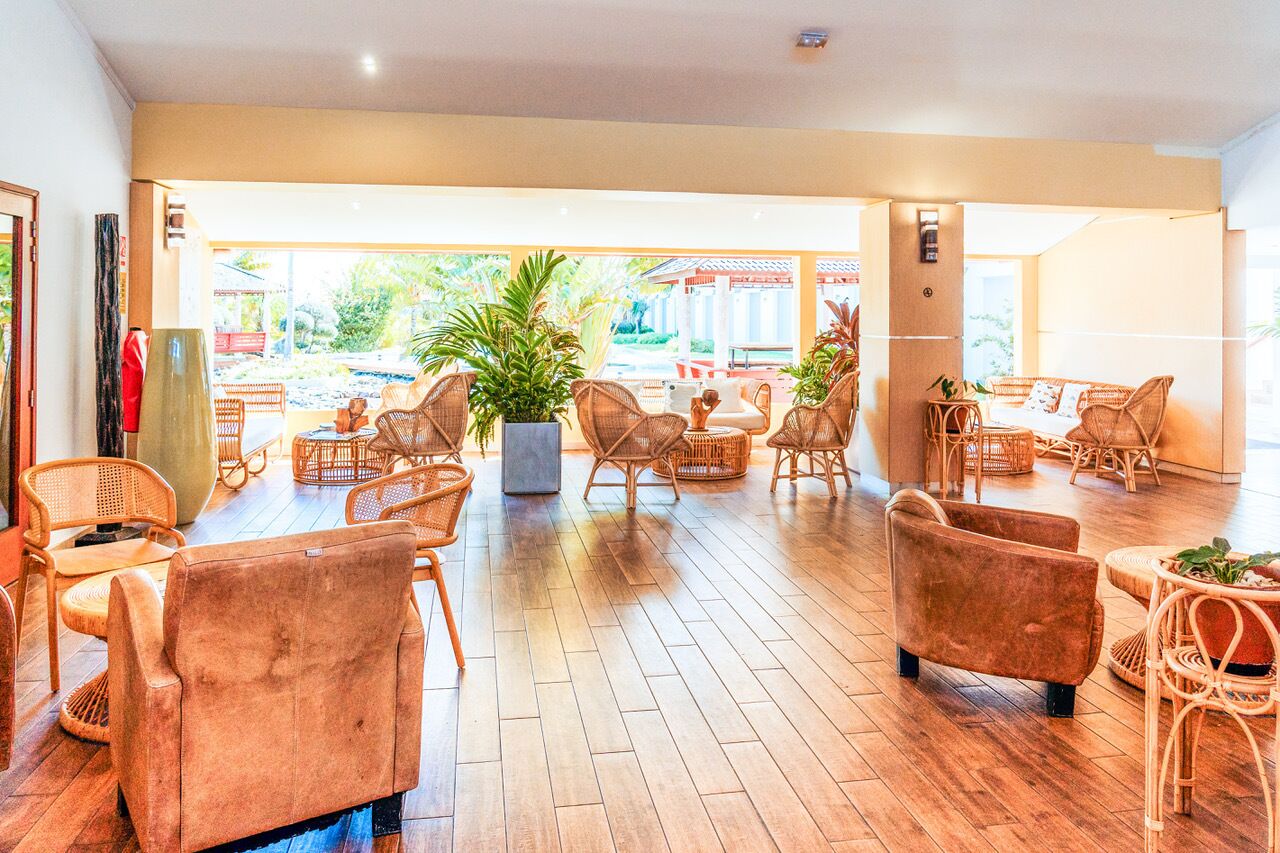 A spacious indoor area with wicker furniture and a large potted plant.