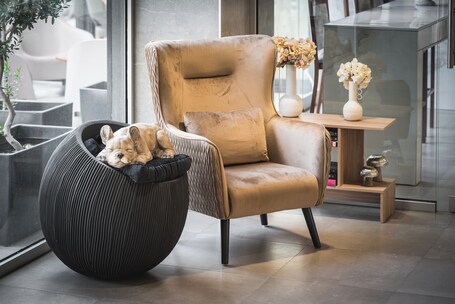 Rise Urban Art Hotel - view 2