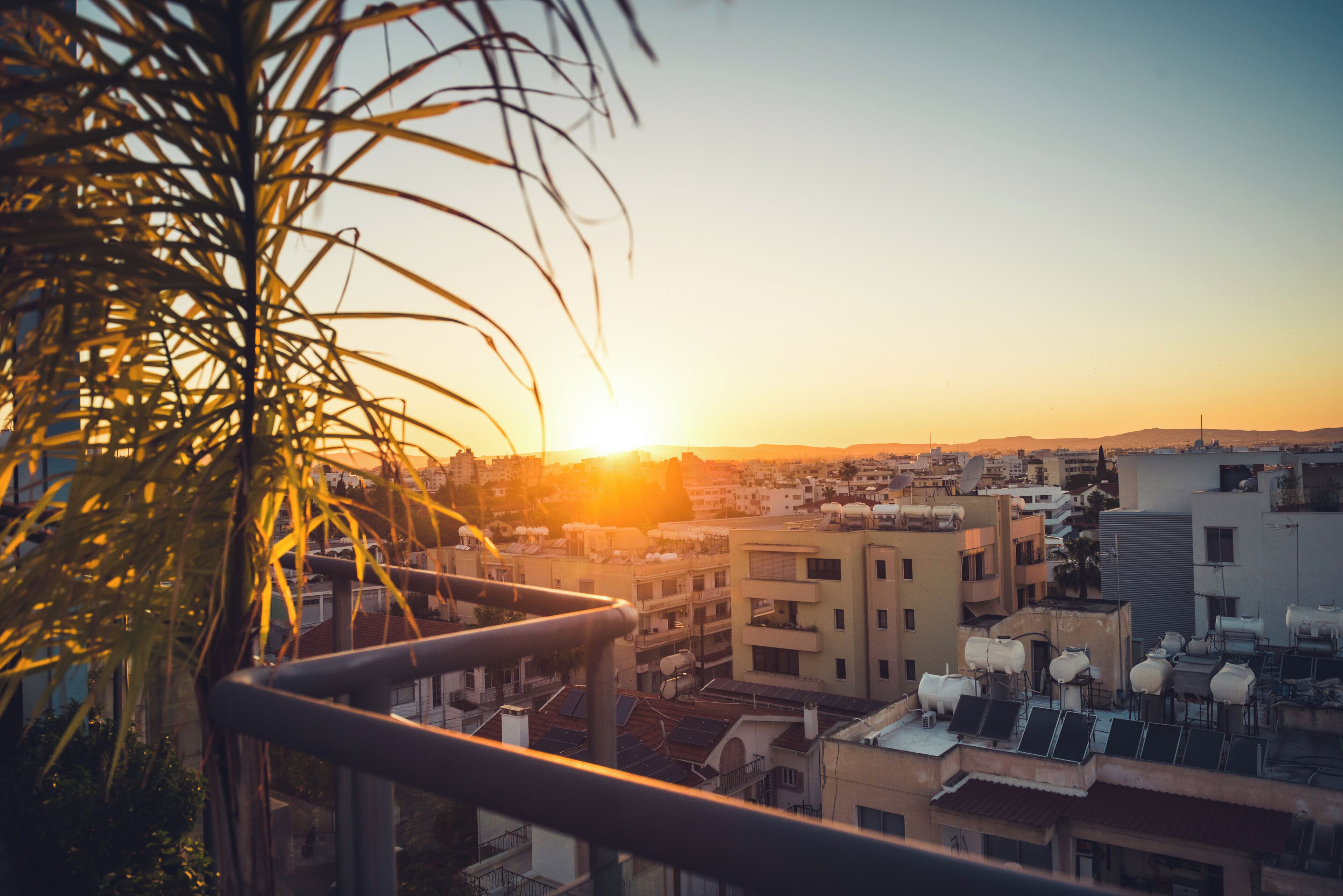 A cityscape at sunset with buildings and a palm tree in the foreground.