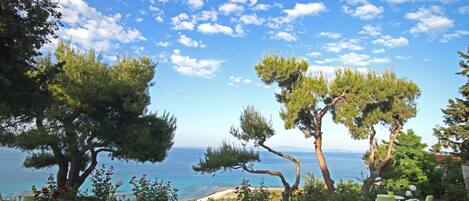 Vista desde la habitación