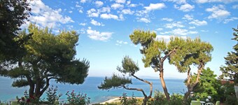 Apollo Apartments & Studios