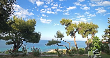 Apollo Apartments & Studios