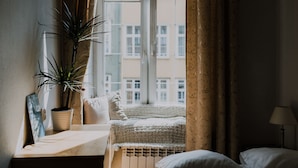 Een knus ingerichte kamer met raam, een kamerplant, een bed en een radiator.