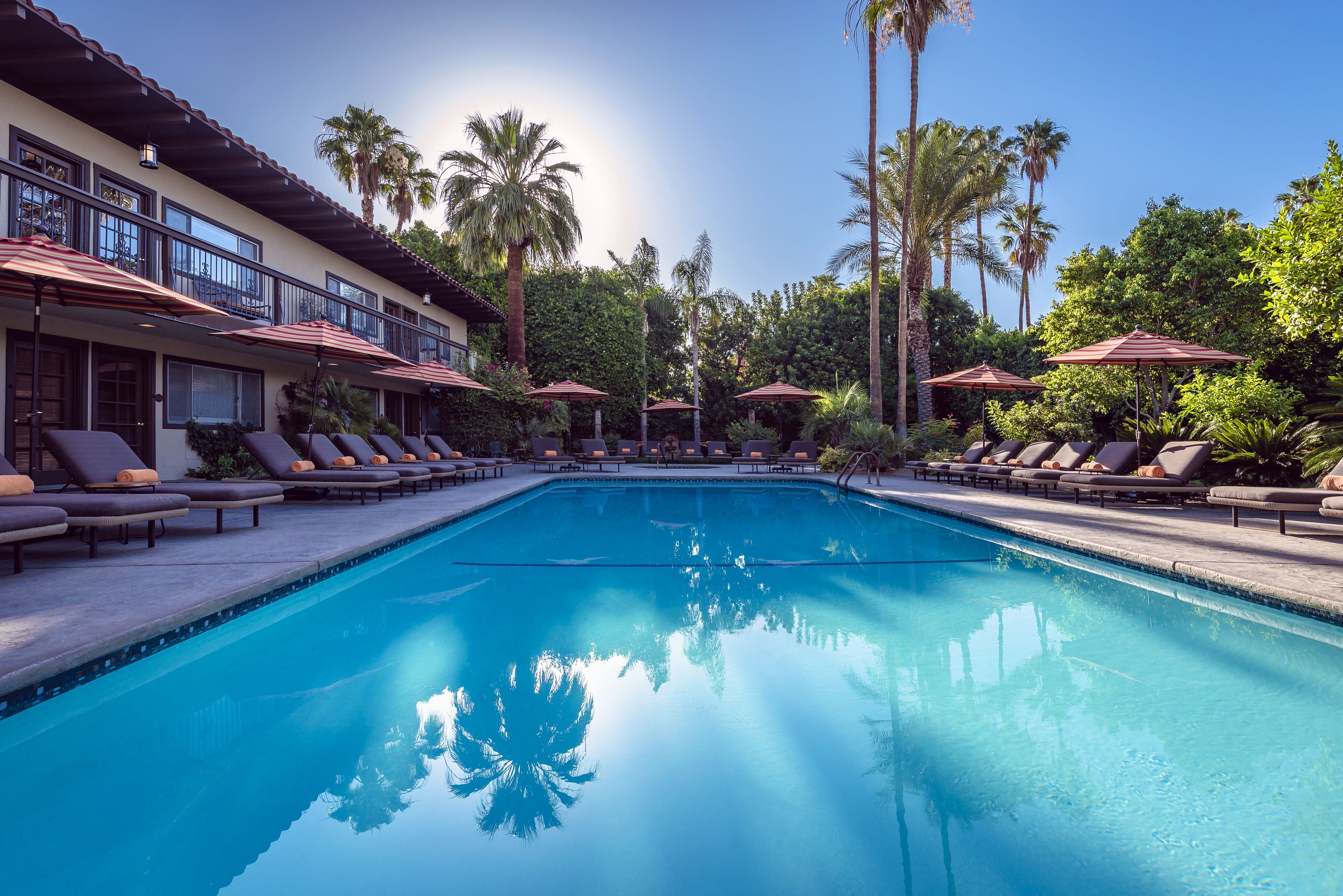 Outdoor pool, pool umbrellas, pool loungers
