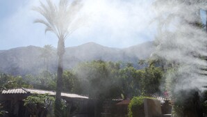 A tropical landscape with a palm tree, mountains, and a building with a tiled roof.