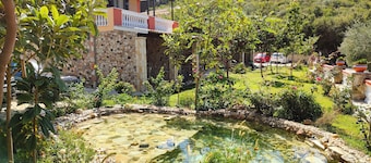Edem Studios & Apartments