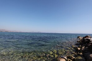 On the beach, windsurfing, fishing