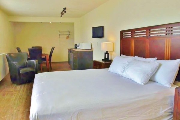 Executive Room, 1 King Bed | Premium bedding, down comforters, iron/ironing board, free WiFi