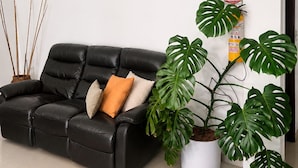 A black leather sofa with cushions, a potted monstera plant, and a fire extinguisher on the wall. - Hotel Metro 26 (Bogotá)