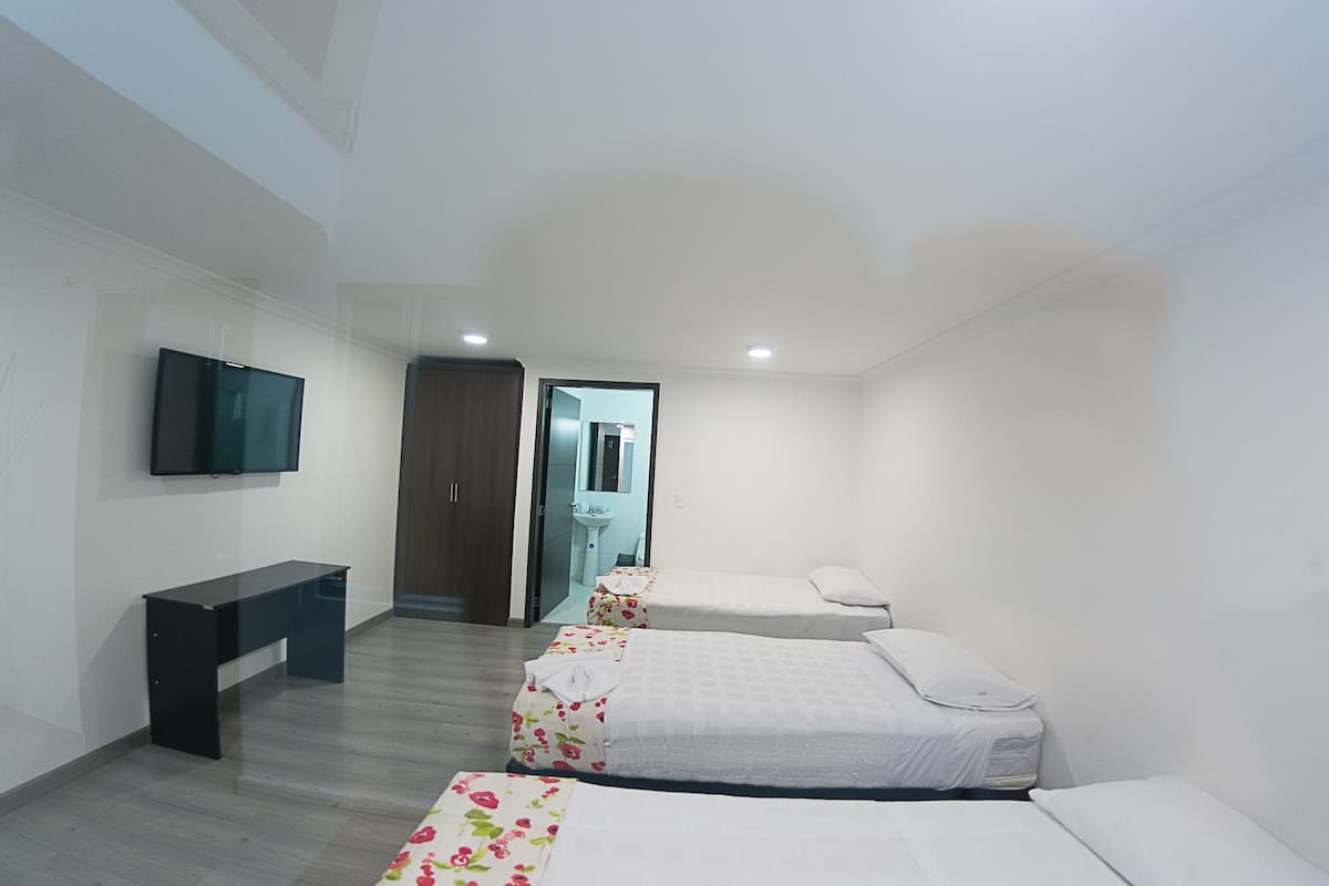 Una habitación de hotel con cama, escritorio, televisor, armario y baño.