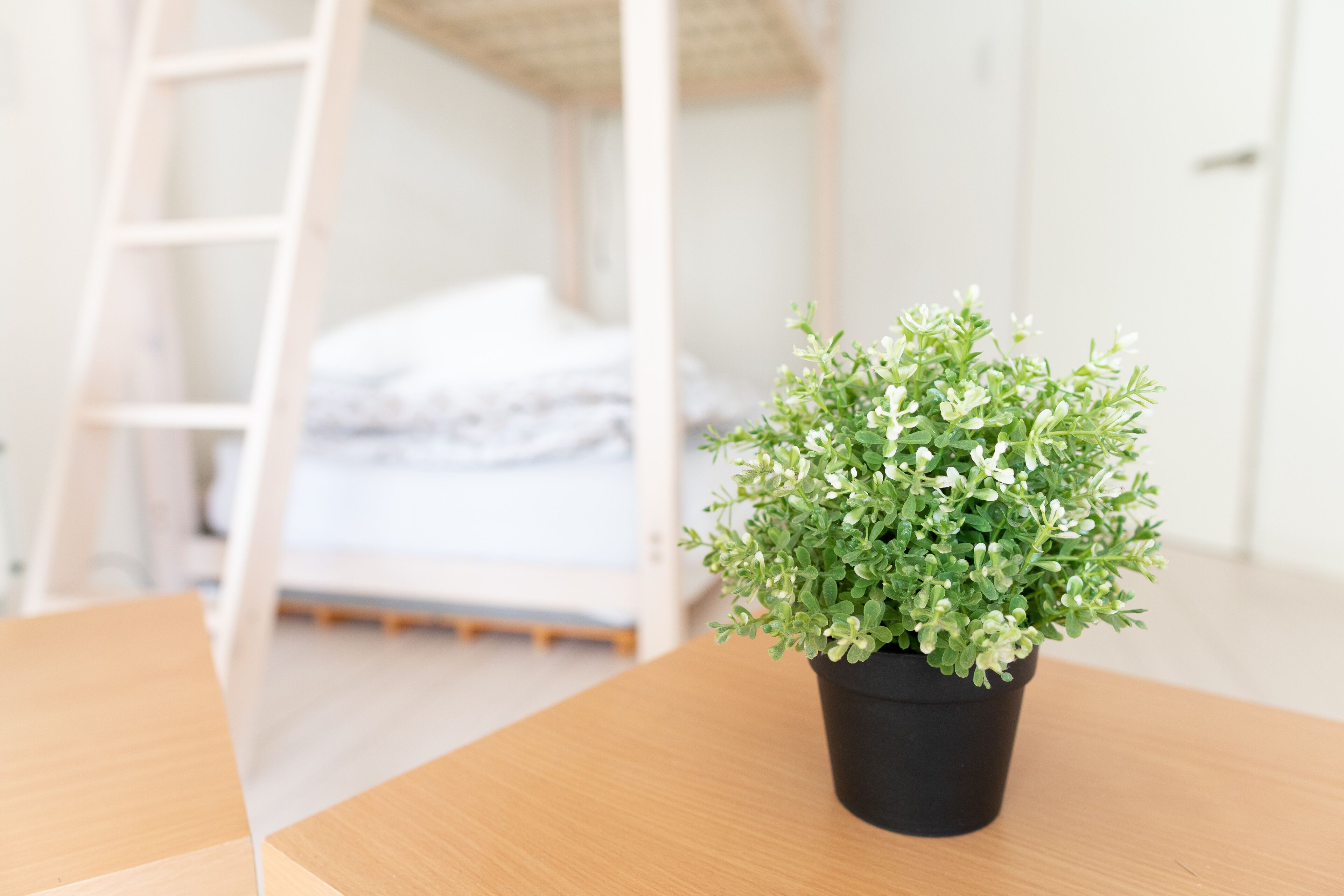 A neatly arranged room with a wooden table, a black potted plant, a white ladder, and a bed with white bedding.