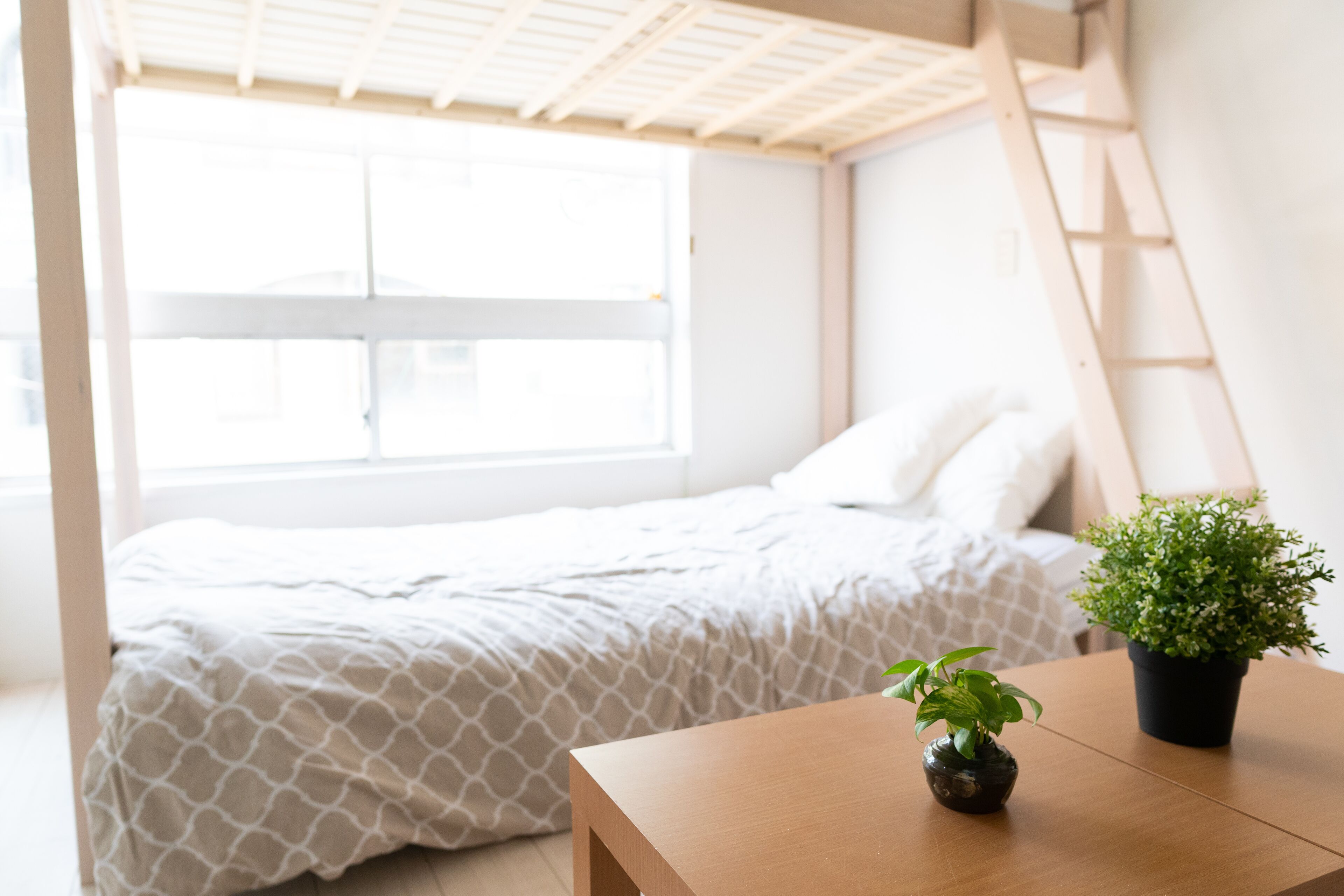 Photo - Casa Blanca Guesthouse