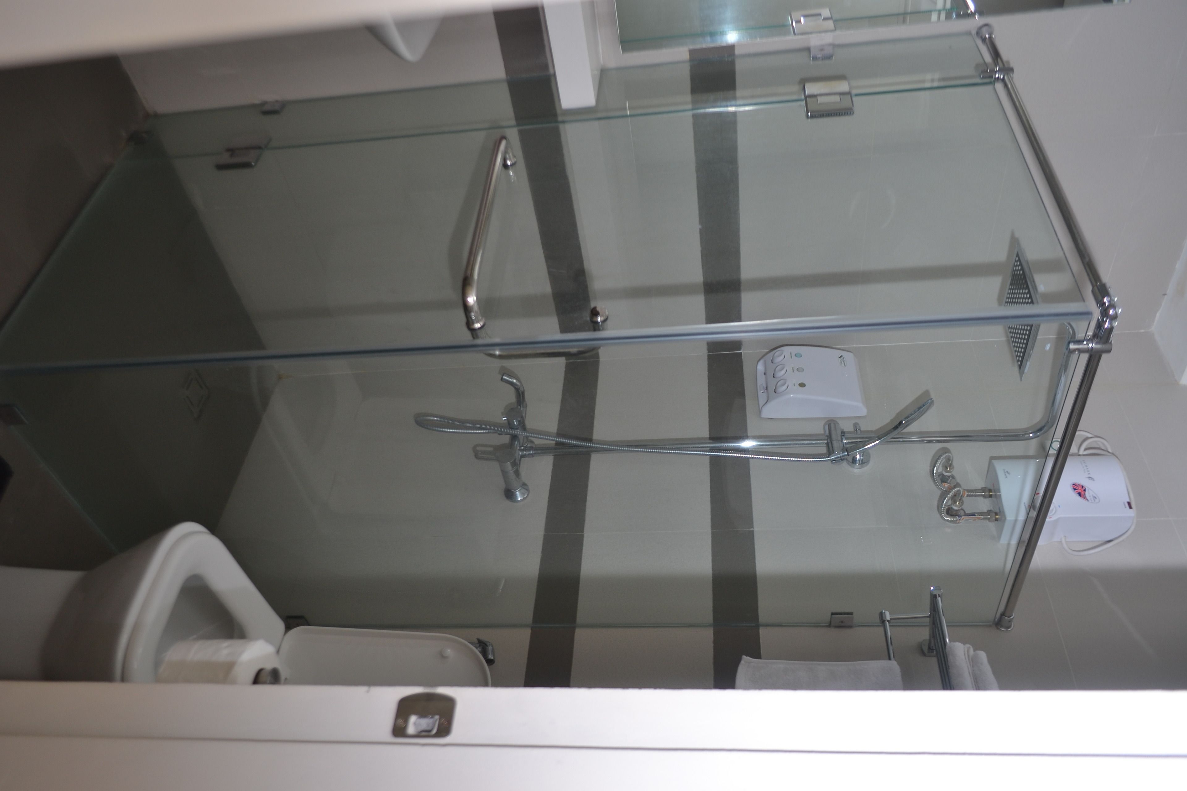 A bathroom with a glass shower enclosure, a toilet, and a towel rack.