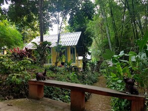 Habitació estàndard | Jardí