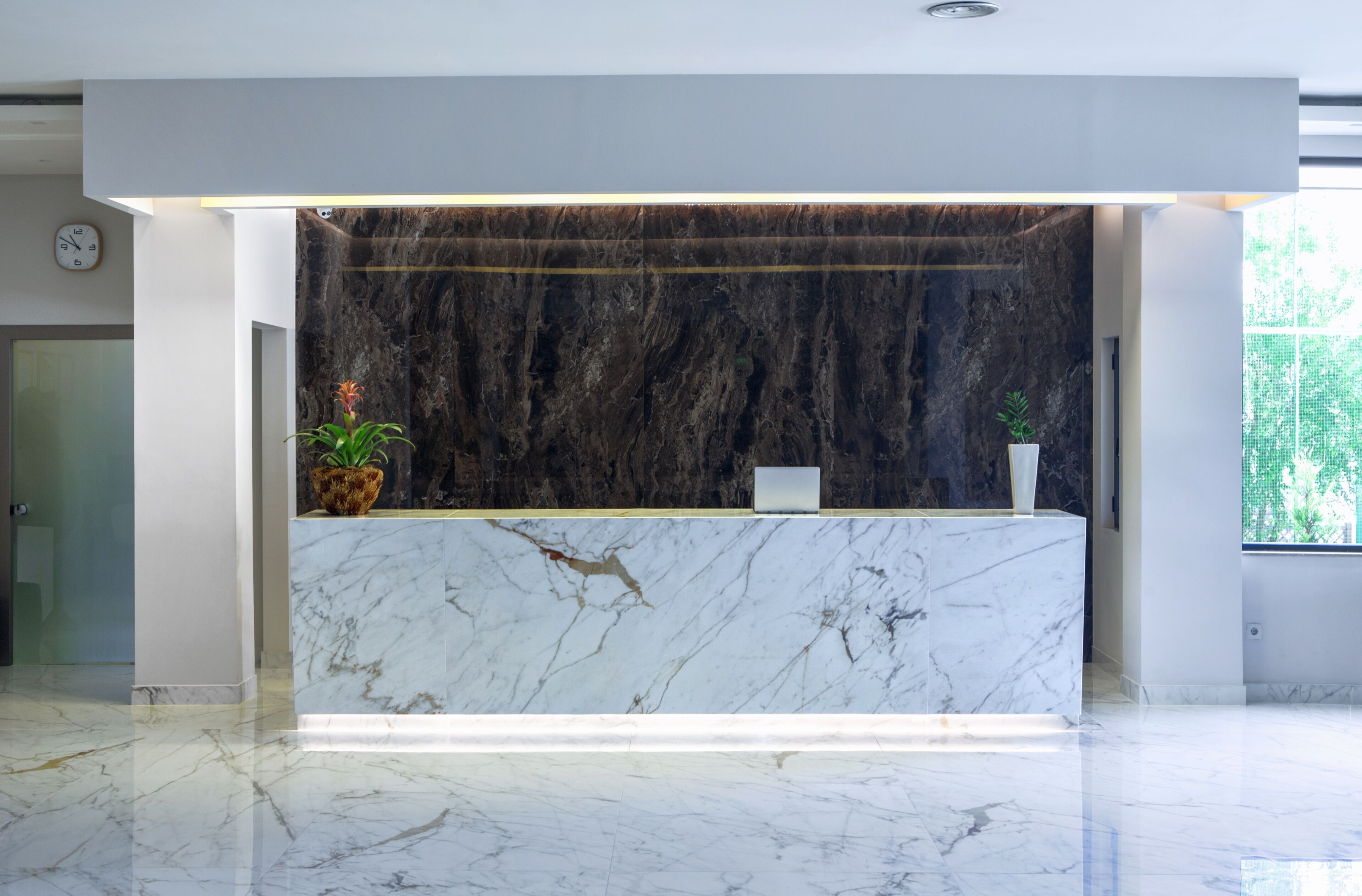 منطقة الاستقبال