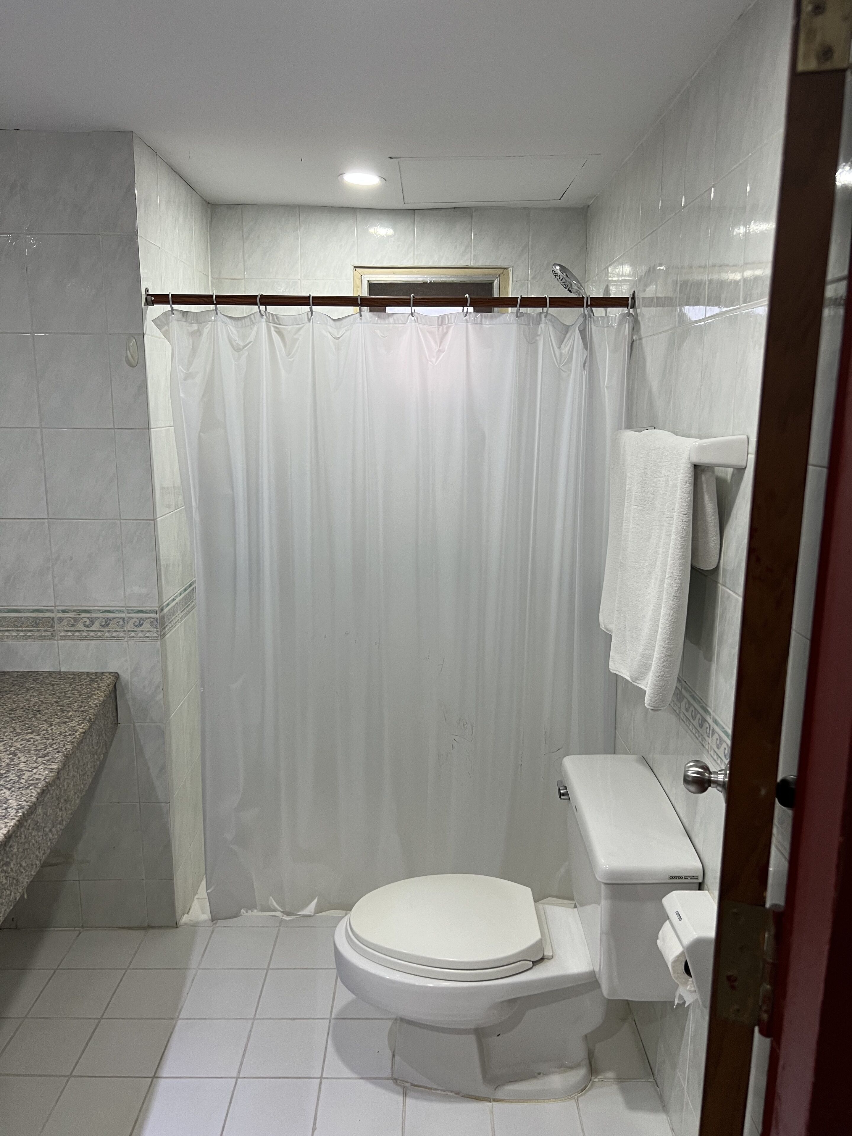 A bathroom with a toilet, a shower curtain, and a towel rack.