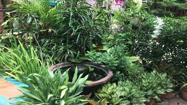 Courtyard - Vanvisa Guesthouse (Luang Prabang)