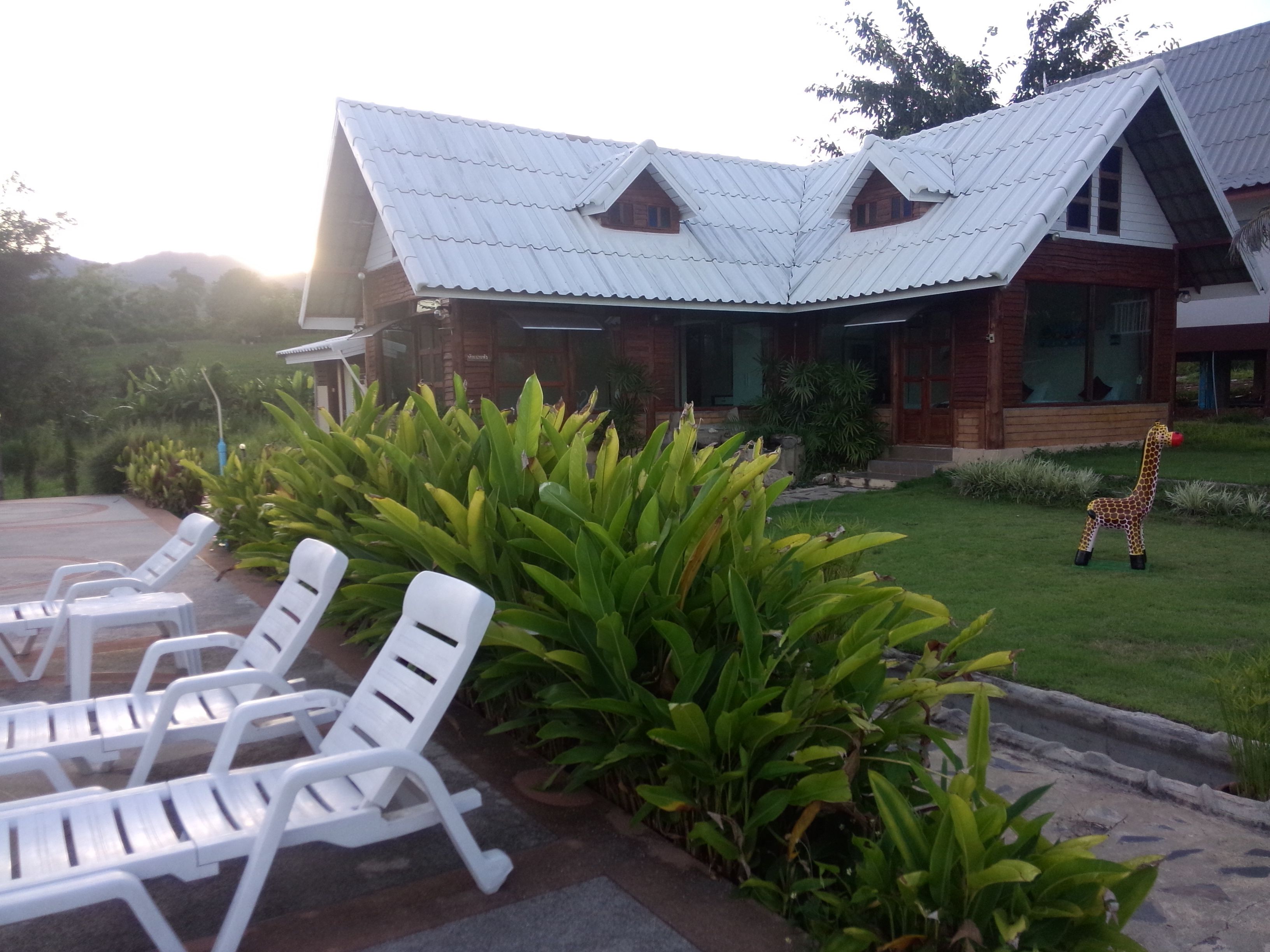 A building with a corrugated metal roof and a small giraffe statue in the front yard.