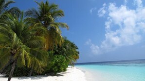 Una playa de arena blanca, agua turquesa cristalina y palmeras.