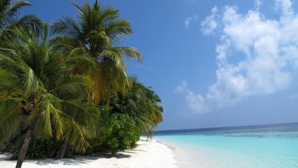 A beach with white sand, clear turquoise water, and palm trees. - BEACH PALACE HOTEL (Hulhumalé)
