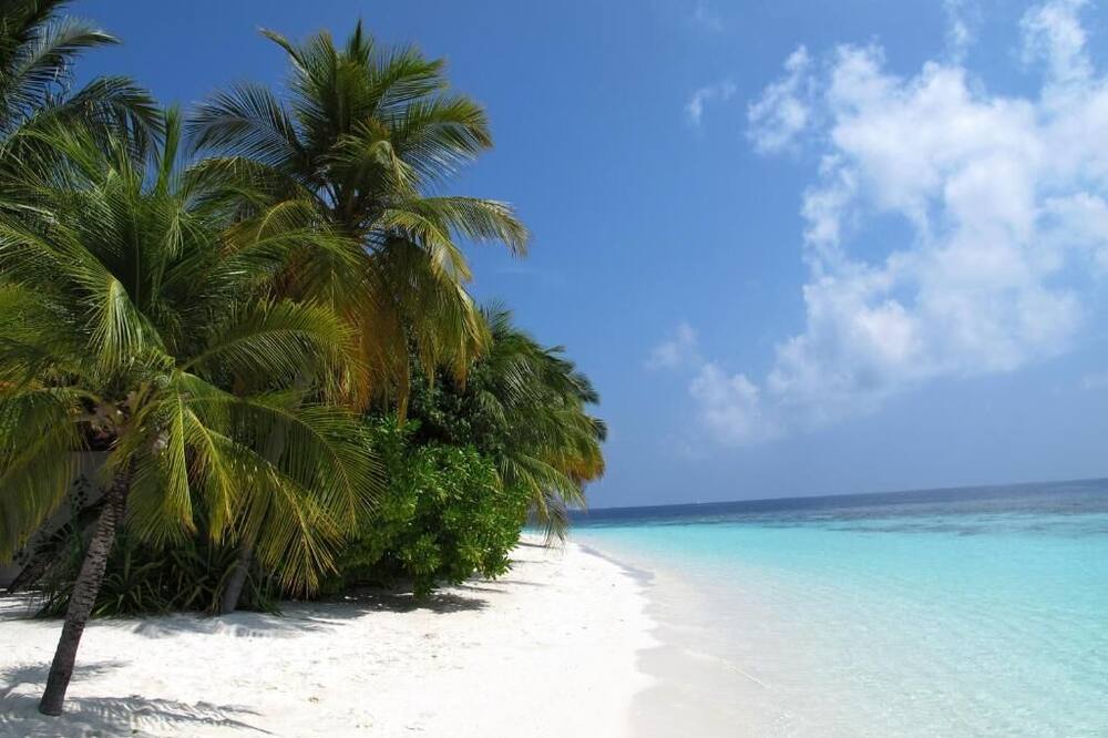 BEACH PALACE HOTEL