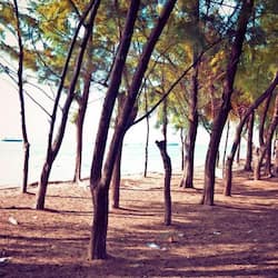 在海灘附近、白沙、躺椅、太陽傘