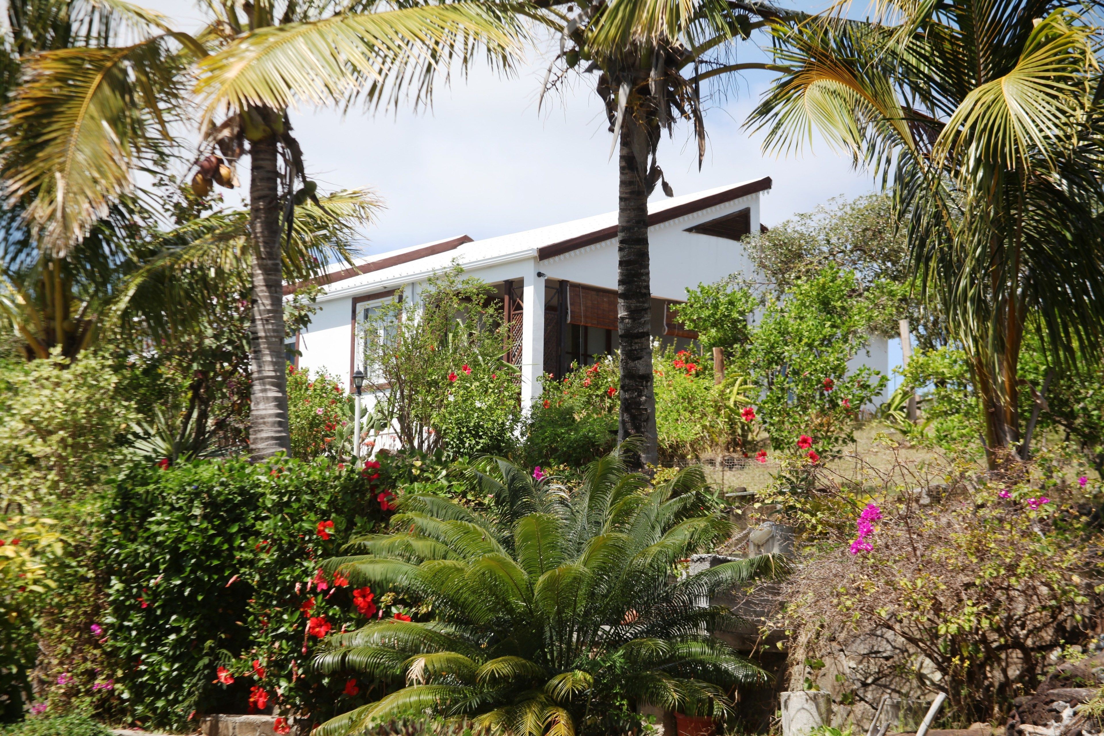 Phòng Superior | Bàn, bàn ủi/dụng cụ ủi quần áo, nôi (giường cho trẻ sơ sinh) miễn phí 