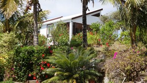 A white building with a sloped roof, surrounded by lush greenery and palm trees. - Residence Foulsafat (Rodrigues Island)