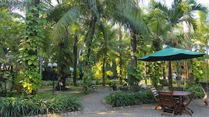 Espaço de pátio com mesa e cadeiras sob um guarda-sol verde, cercado por vegetação exuberante e palmeiras.