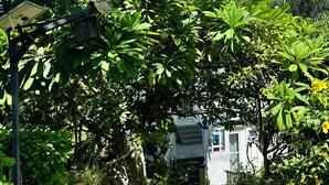 A pathway flanked by lush greenery and a stone wall, leading to a building with a visible staircase. - La Villa Allamanda (Rodrigues Island)