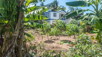 Khuôn viên nơi lưu trú