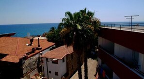 Ein Küstengebäude mit rotem Ziegeldach, einer Palme und Blick auf das Meer.