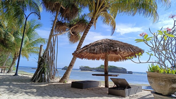 Une plage avec un parasol en chaume, des chaises longues et une plante en pot.