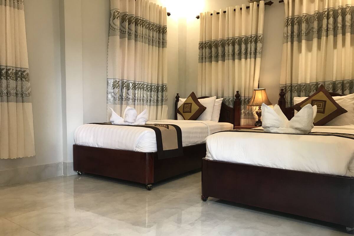Een hotelkamer met twee bedden, elk met een donker hoofdbord, witte beddengoed en decoratieve kussens.