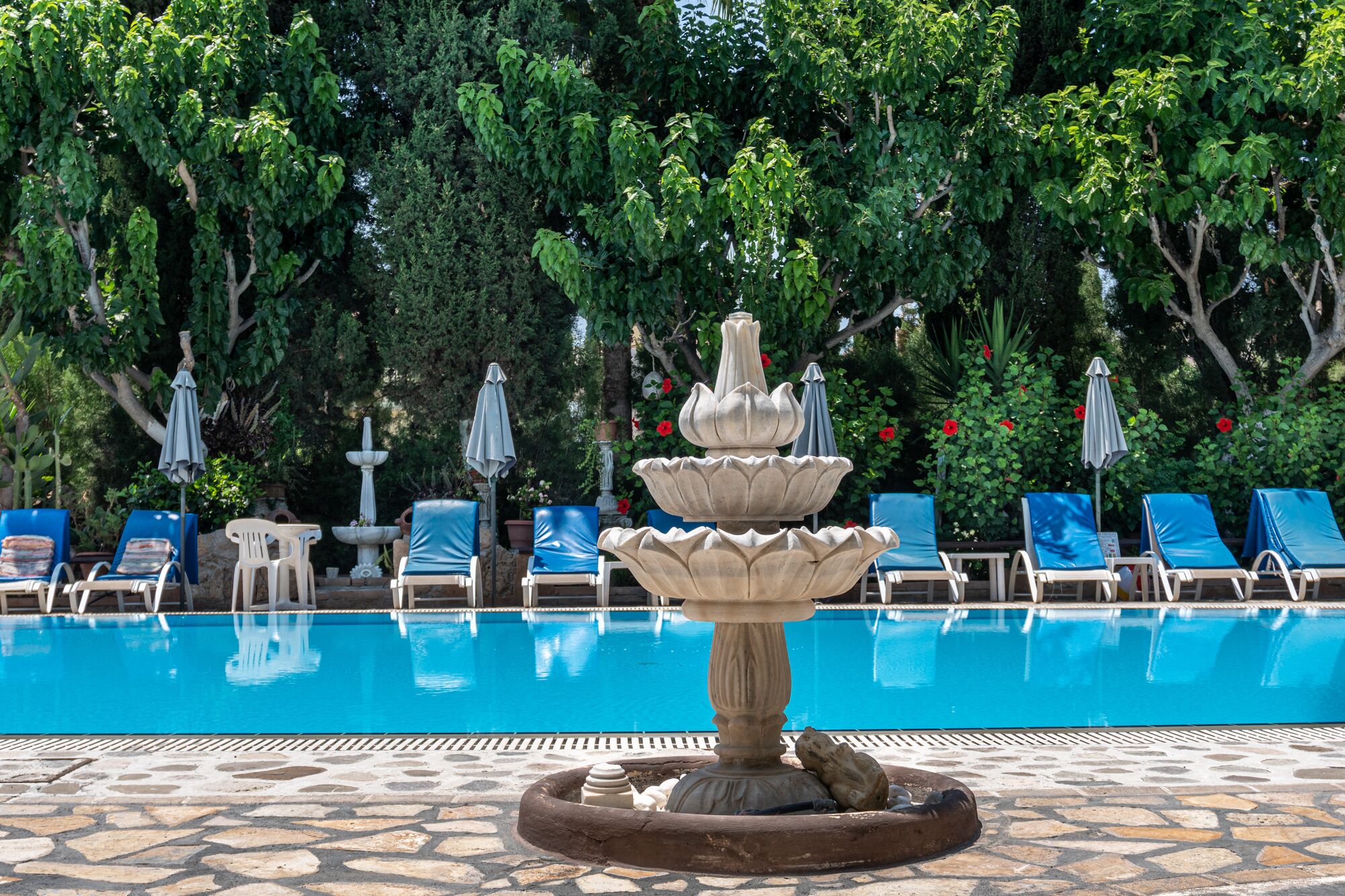 Foto - Apollonia Hotel Apartments