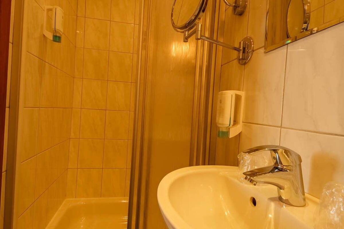 standard double room, 1 double bed | bathroom | shower, free toiletries, hair dryer, towels