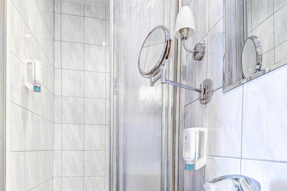 shower, free toiletries, hair dryer, towels